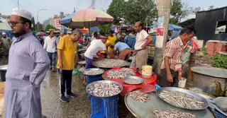 নারায়ণগঞ্জে কমেছে মাছের সরবরাহ, বেড়েছে দাম